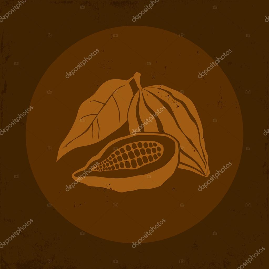 Illustration of a Cocoa bean in brown background