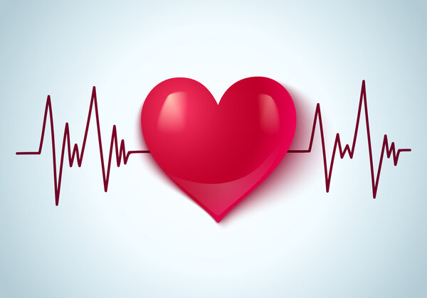 Сердце и пульс
