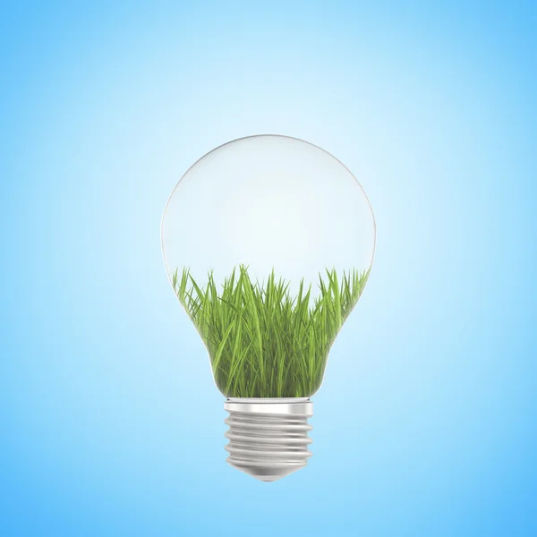 Grama verde crescendo em uma lâmpada no fundo azul — Fotografia de Stock