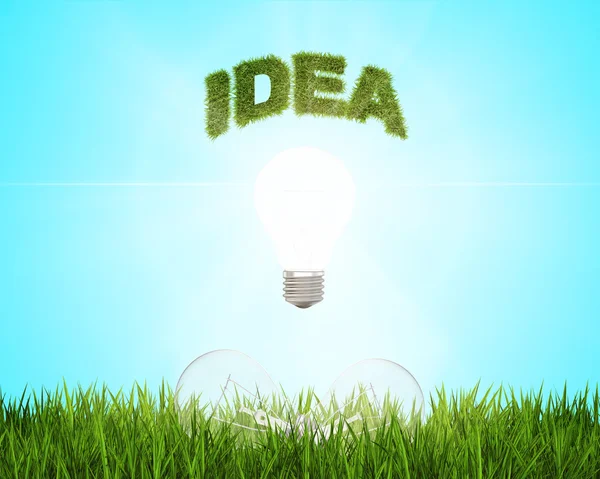 Световая лампочка со словом идея над полем свежей зеленой травы, которые являются еще 2 лампочки.. Концепция зеленой энергии . — стоковое фото