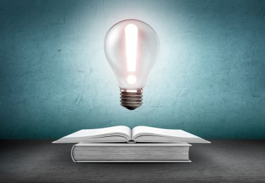 Açık kitap ve üzerinde ünlem işareti ile parlayan ampul. Bilgi, eğitim kavramı