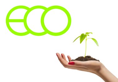 Filiz kadın el ve yeşil harfler izole yerde büyüyen