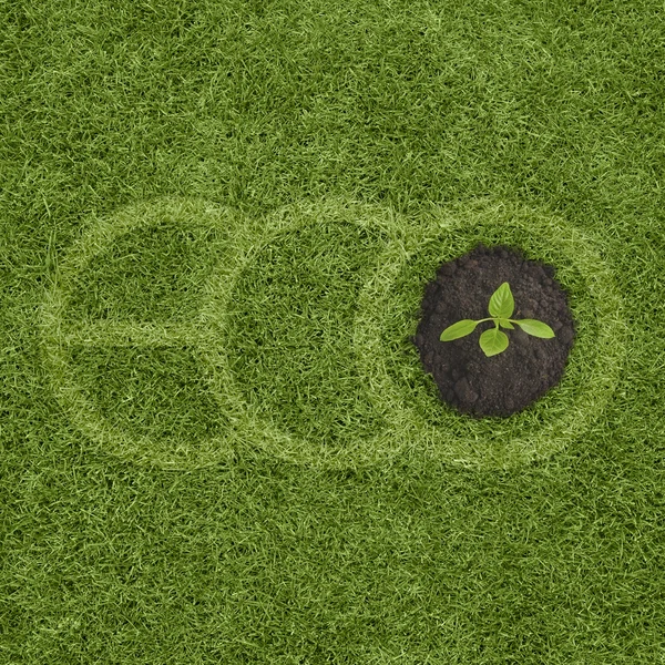 Grandes letras verdes soletrando ECO na grama e pequeno broto crescente — Fotografia de Stock