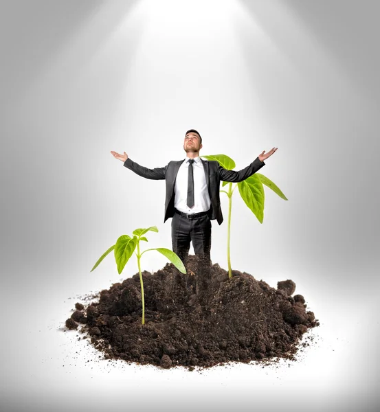Businessman  stands on sprout — Stock Photo, Image