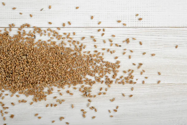 Terbentangkan mutiara barley pada panel kayu — Stok Foto
