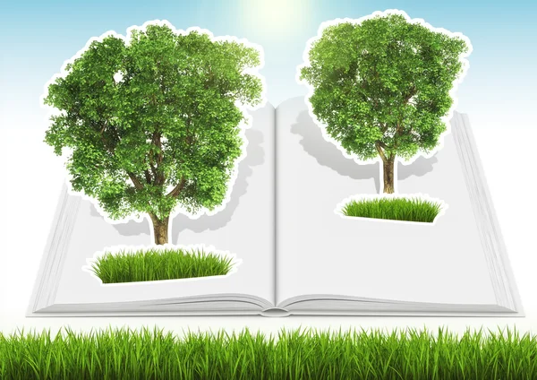 Árbol cultivado en libro abierto con hierba y cielo — Foto de Stock