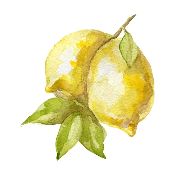 Acquerello disegnato a mano limone frutta su sfondo bianco . — Foto Stock