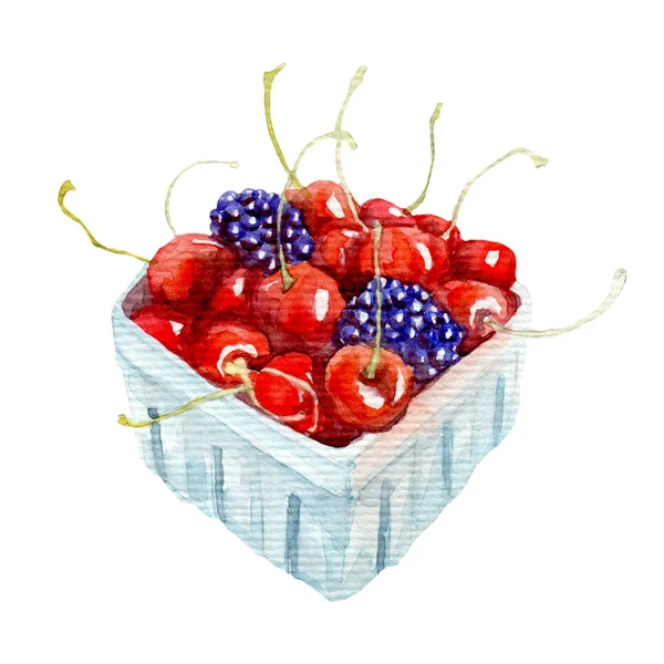 Watercolor bowl with berries — Stock Photo, Image