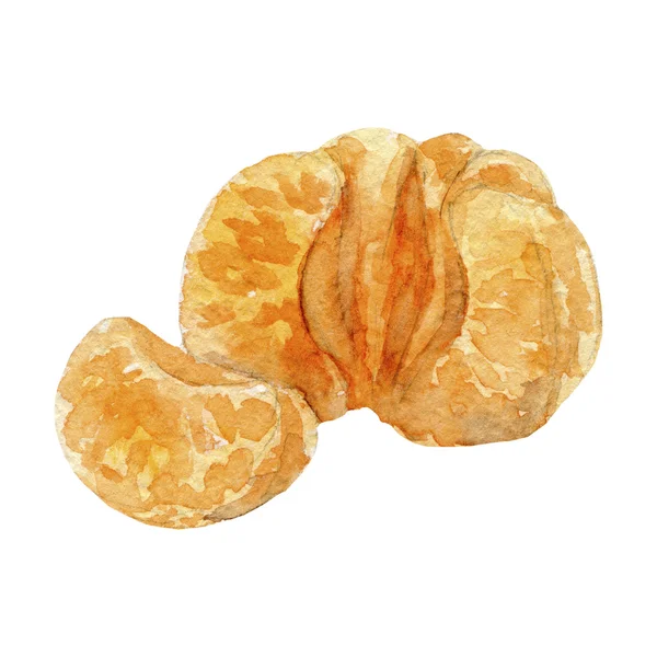 Imagen en acuarela de mandarina con dos segmentos — Foto de Stock