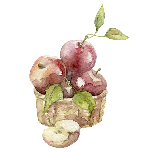 Acuarela manzanas ilustración — Foto de Stock