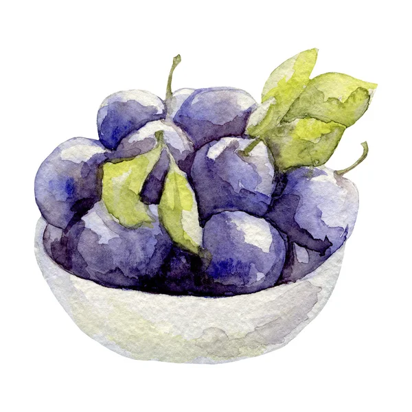 Acuarela dibujada a mano ilustración de ciruela de fruta — Foto de Stock