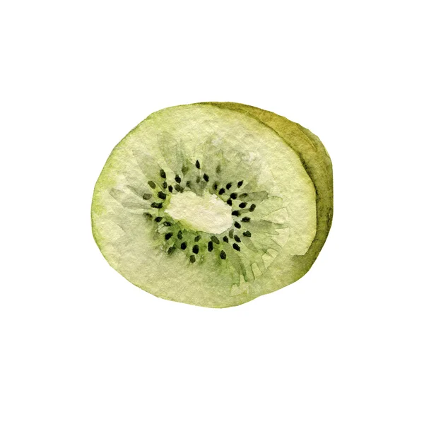 Aquarell-Kiwi-Frucht isoliert auf weiß — Stockfoto