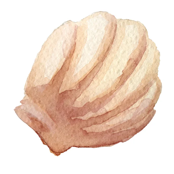 Aquarel madeleine vectorillustratie — Stockvector