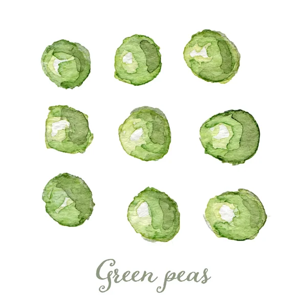 Watercolor green peas- hand painted vector — ストックベクタ