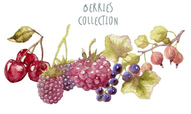 Suluboya çilek elle çizilmiş