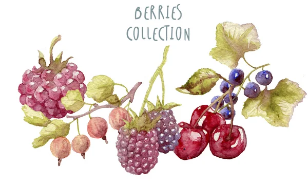 Watercolor berries hand drawn — Stock Photo, Image