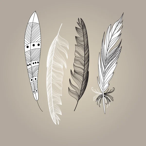 Set de plumas de pájaro gráfico — Archivo Imágenes Vectoriales