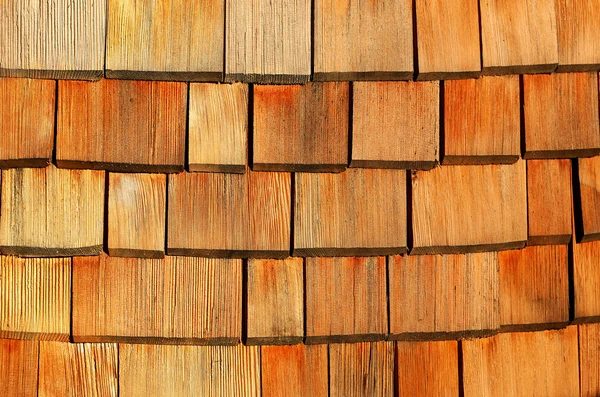 Texture fotografica del legno — Foto Stock