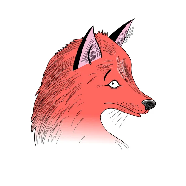 Portrait of Fox — Stock Vector