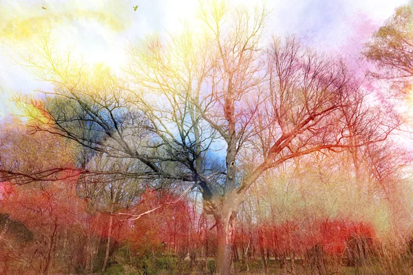 Akvarell våren träd — Stockfoto