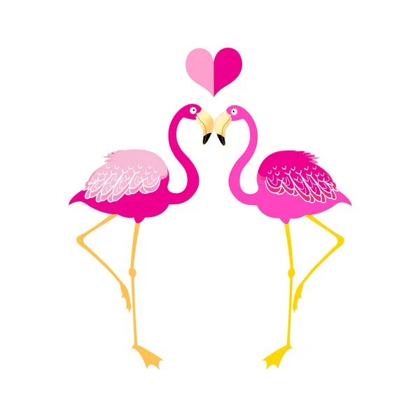 Grafische flamingo liefhebbers — Stockvector