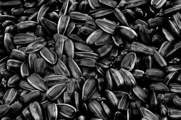 Black small seeds — Stock Photo, Image