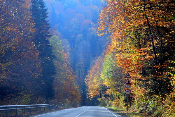 Foto Uma Estrada Magnífica Com Floresta Multicolorida Outono Nas Montanhas — Fotografia de Stock