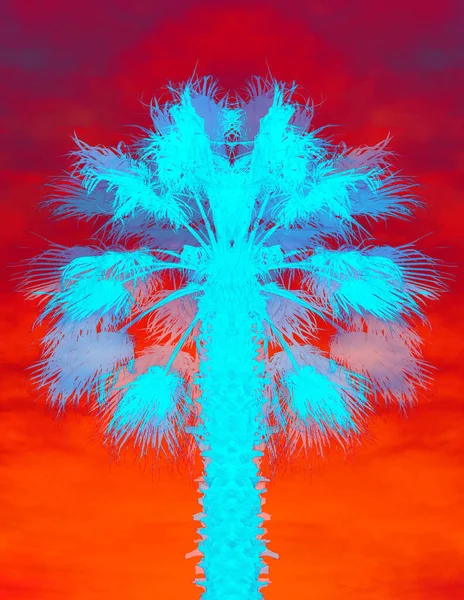 Illustrazione Retrò Palme Tropicali Colori Vivaci Sull Isola — Foto Stock