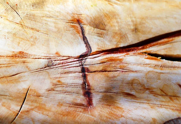 Photo Macro Beautiful Wood Texture Cracks Aged Time — Stock Photo, Image