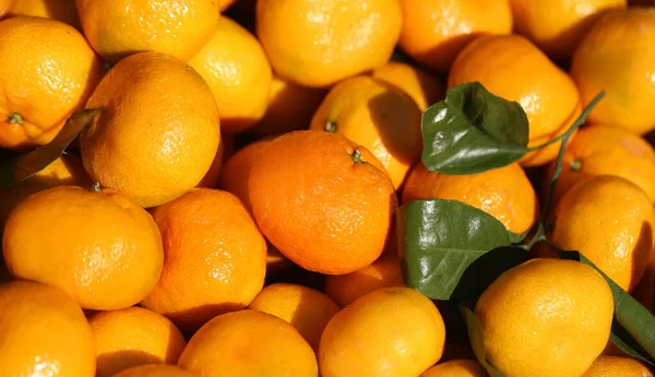 Foto Fundo Tangerinas Brilhantes Iluminadas Pelo Sol — Fotografia de Stock