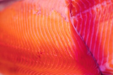 Lezzetli bir buzdaki kırmızı balığın fotoğrafı. Mağaza ve web sitesi için reklam