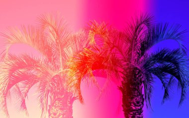 Tropikal bir adadaki palmiye ağaçlarının parlak, eski bir fotoğrafı. Avuç içi seyahatlerinin ve tropik bölgelerdeki neon palmiyelerin turizmine bir örnek