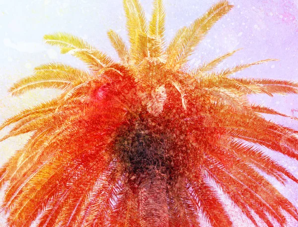 Foto Heldere Kleurrijke Retro Foto Van Palmbomen Een Tropisch Eiland — Stockfoto