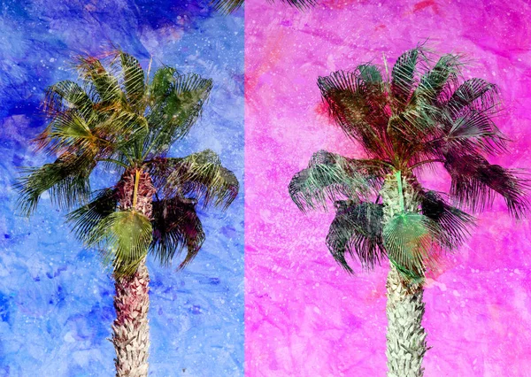 Foto Van Prachtige Retro Palmbomen Van Verschillende Tinten Een Tropisch — Stockfoto