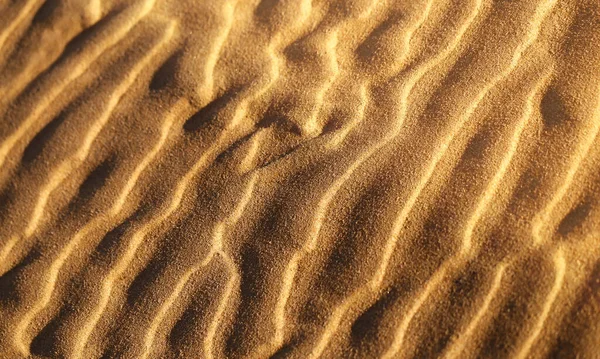 Beautiful Photo Background Golden Sand Tropical Beach — Stock Photo, Image