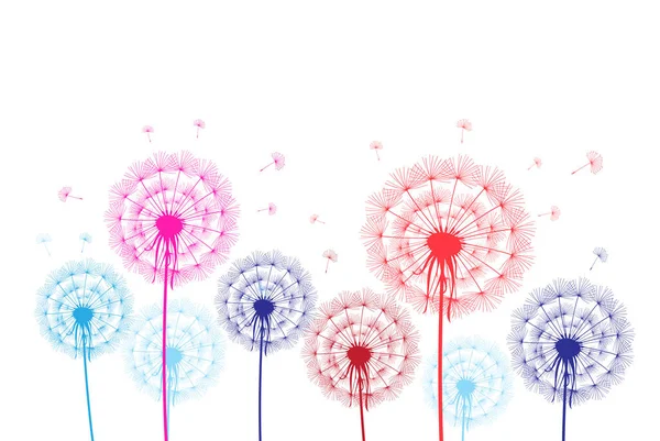 Colorful graphic dandelions on a white background. Example of a floral background for a website or design