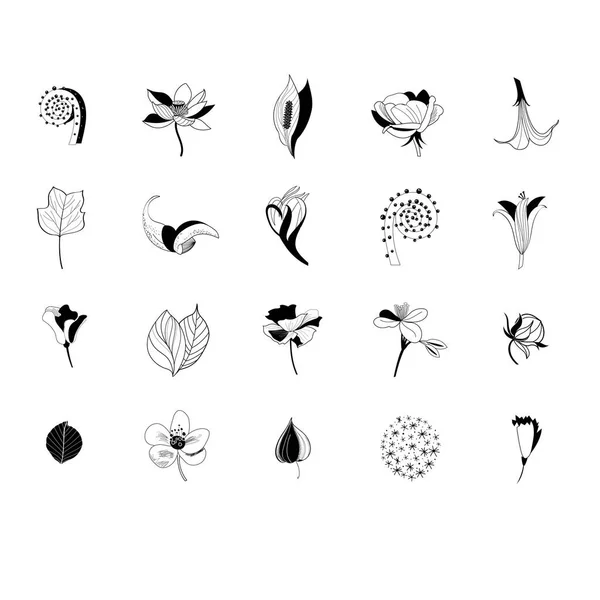 Набор Графических Икон Цветов Растений Белом Фоне — стоковый вектор