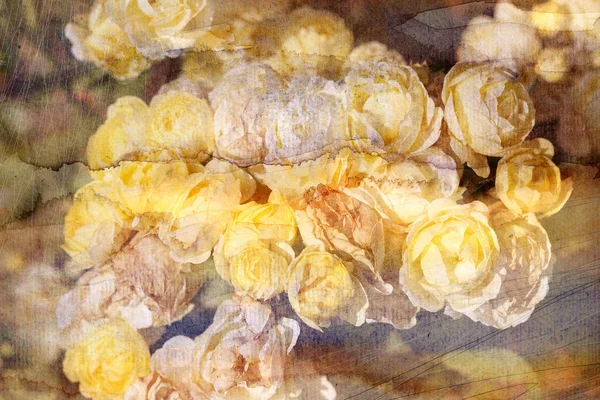 Vintage retro roses — Stock Photo, Image