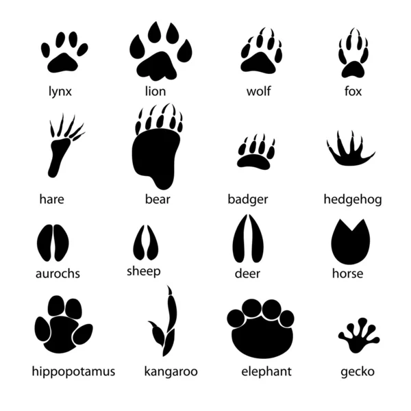 Conjunto de diferentes pistas de animales — Vector de stock