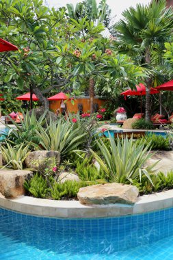 Harika bir bahçe içinde Yüzme Havuzu