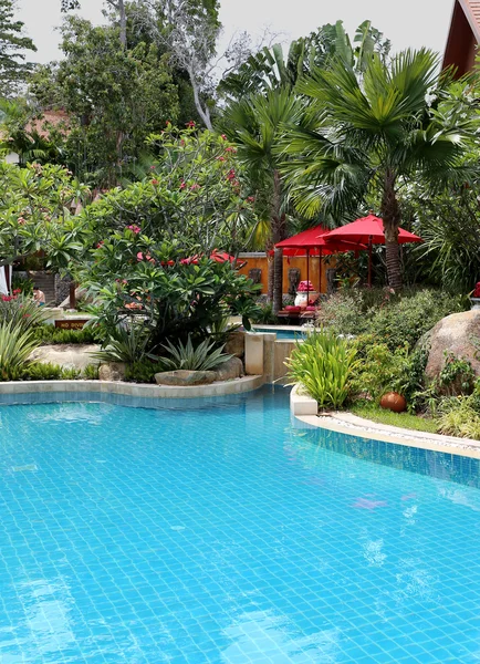 Swimming pool in a wonderful garden — Stock Photo, Image