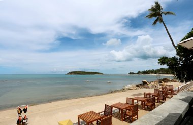 Palmiye ağaçlı deniz manzarası