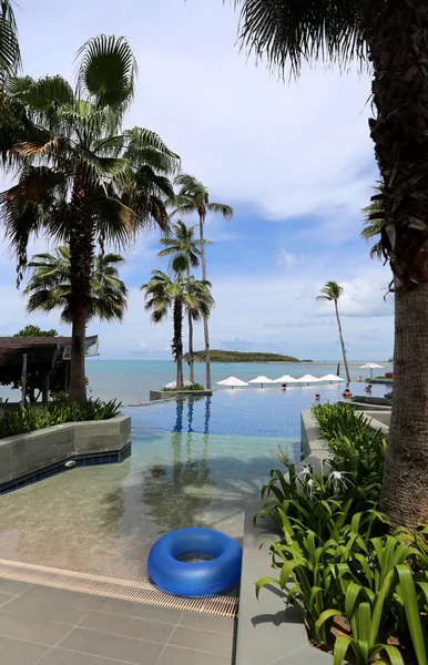 Paesaggio marino con palme e piscina — Foto Stock