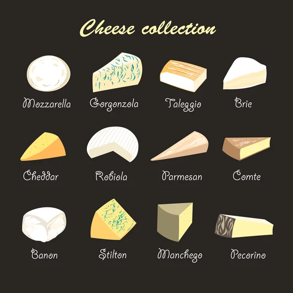 Illustration of a collection of cheeses — Stock Vector
