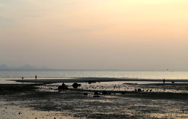 海の夕日 — ストック写真