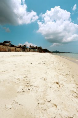 Güzel tropikal plaj