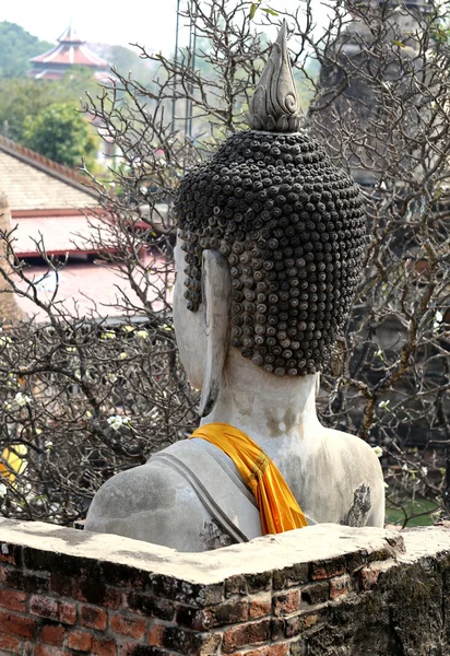 Hlava je velká, sedící Buddha — Stock fotografie