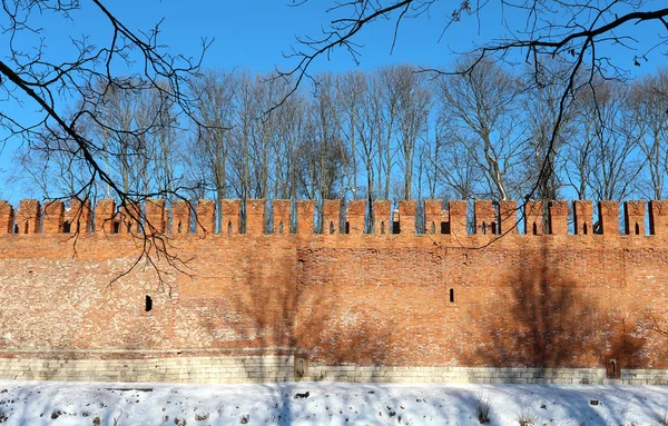 Mattoni vecchio muro — Foto Stock