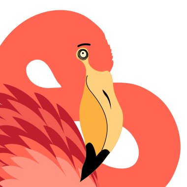 Kırmızı flamingo portresi