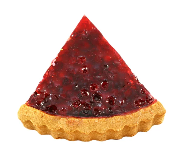 Cranberry delicious piece of cake — Stock Photo, Image